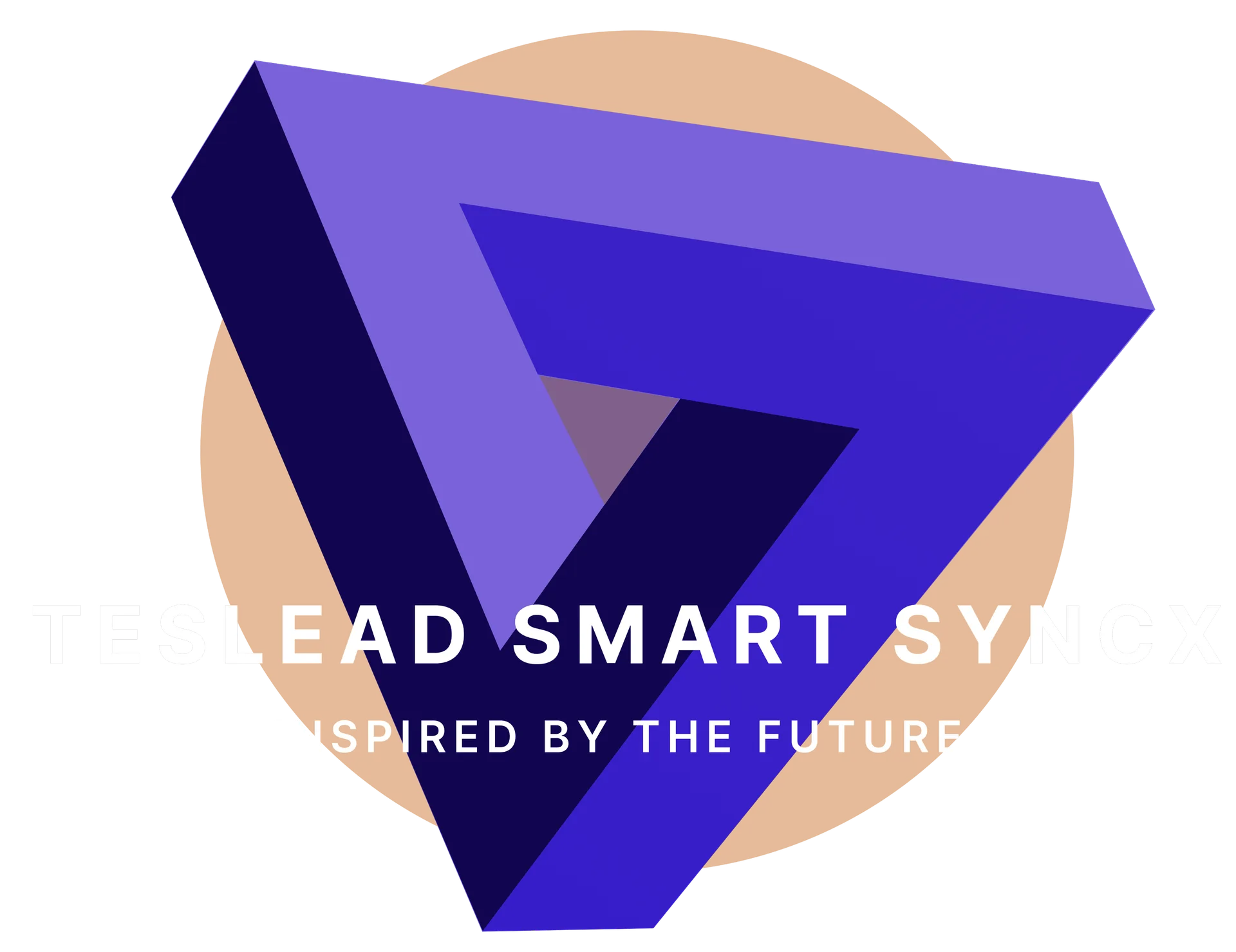 Teslead SmartSyncX software